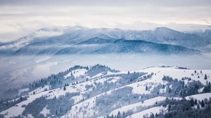 雪山森林的远景视频素材