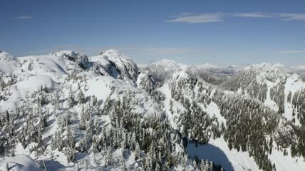 航拍雪山松林景观