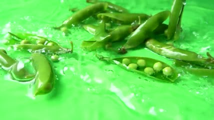 豌豆落入水中特写实拍