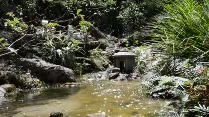 溪水缓缓流淌特写实拍