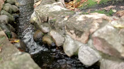 花园小溪流淌特写实拍