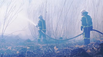 消防员在树林里泼水实拍