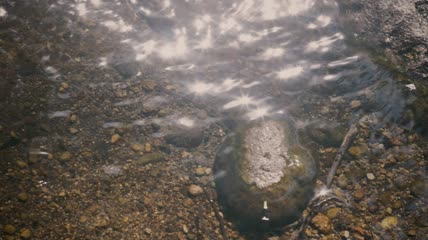 阳光反射在河里特写实拍