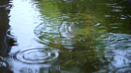 雨落在湖面上特写实拍