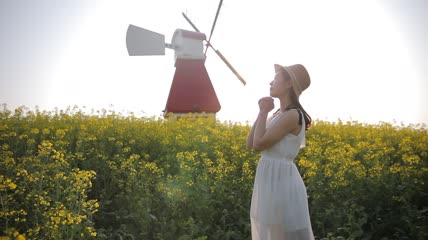 油菜花海女孩与风车