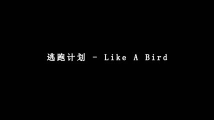 Like A Bird歌词字幕素材