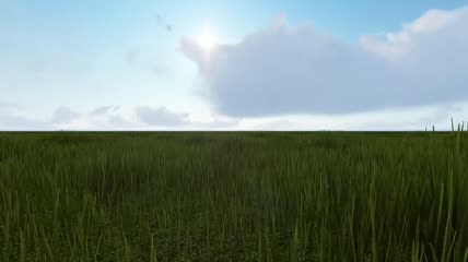 春天穿过草地