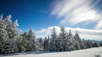 风在雪林中移动的云和树