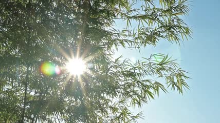 镜头反日耀斑