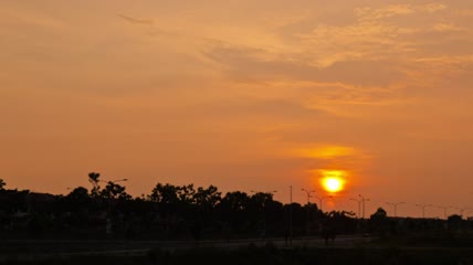 太阳落在一排树后面