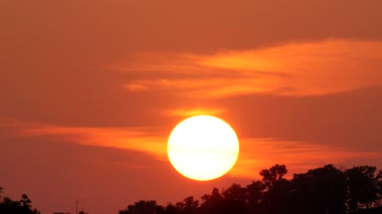 太阳落在一条林线后面