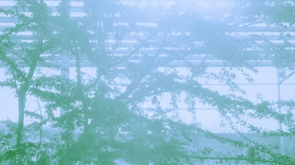 温室和太阳