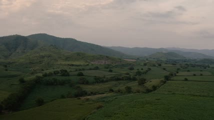高山田野航拍