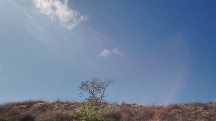 晴朗蓝天的沙漠景观实拍