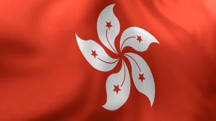 迎风飘扬的香港区旗特写实拍