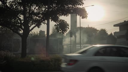 在树下行驶的汽车
