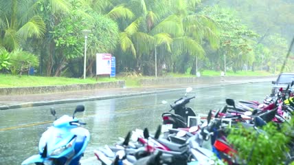 路上下着大雨实拍