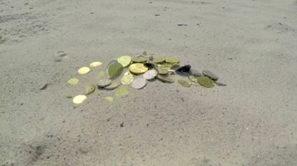埋在沙子里的硬币视频