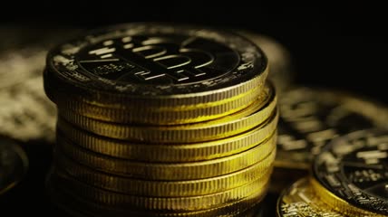 一堆真正的比特币视频