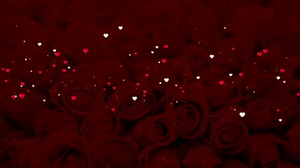 爱情人节浪漫的玫瑰婚礼
