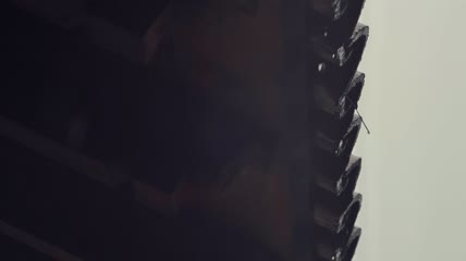 从瓦屋顶上落下的雨滴特写实拍