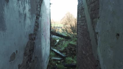 废弃房屋周围的景观特写实拍