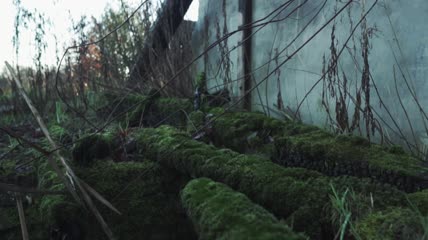 墙壁被毁的废墟房屋特写实拍