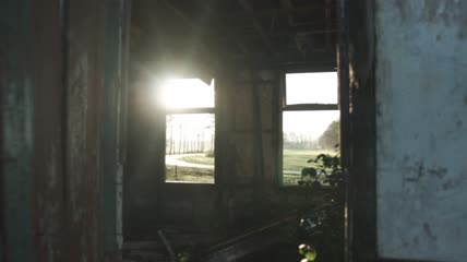森林附近的废弃房屋特写实拍
