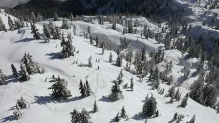 在加拿大的雪地上滑雪航拍
