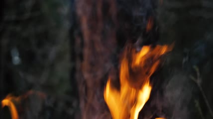 在树干前点火特写实拍