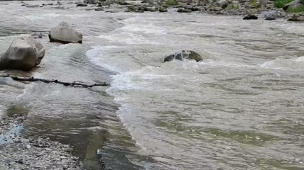 雨后流淌的河流特写实拍