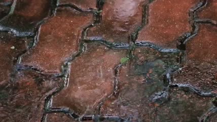 雨落在砖头上特写实拍