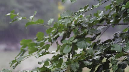 雨以慢动作下着特写实拍