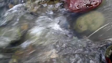 雨中的溪水清澈特写实拍