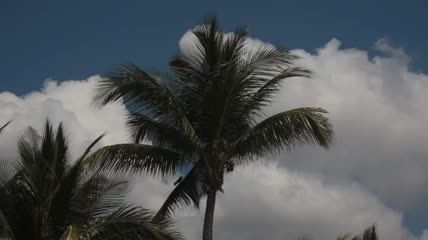 暴风雨滚滚而来视频