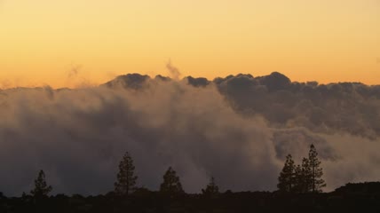 森林后面的低云实拍