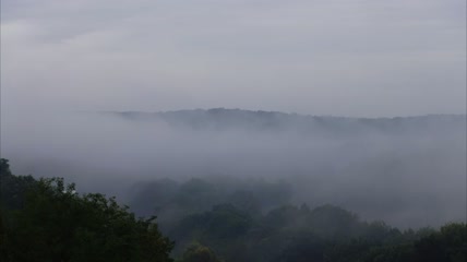 山上弥漫着浓雾实拍