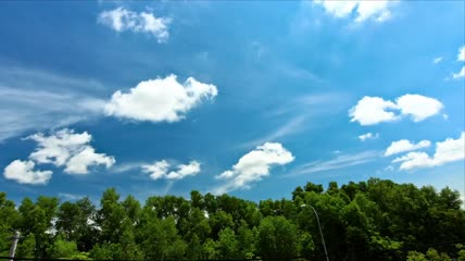生机勃勃的森林上空的蓝天延时实拍