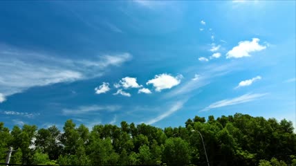 树顶上的云视频