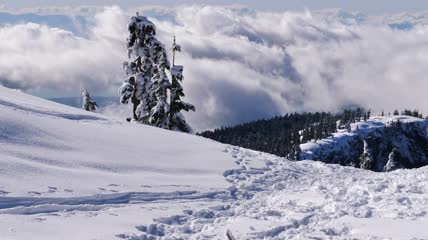 松林中白雪覆盖的小山实拍