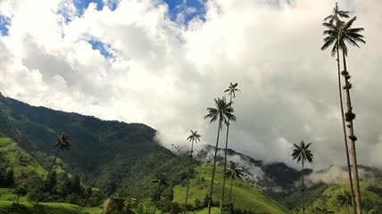 云彩飘过群山和棕榈树实拍