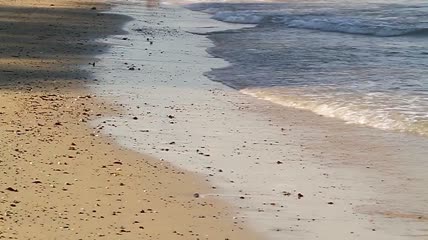 肮脏海滩上的浅浪特写