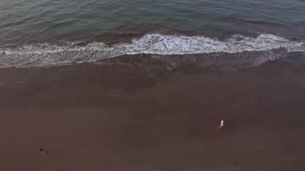 布满椅子的旅游海滩航拍