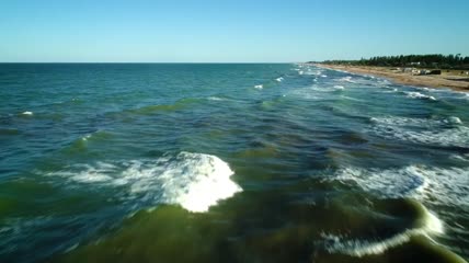 飞过海边的浪花特写实拍