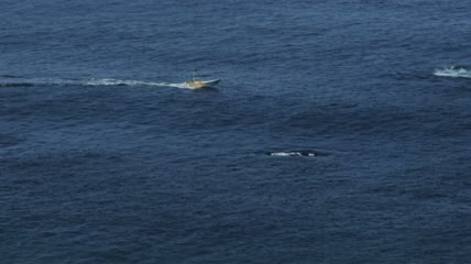 公海中的小船实拍