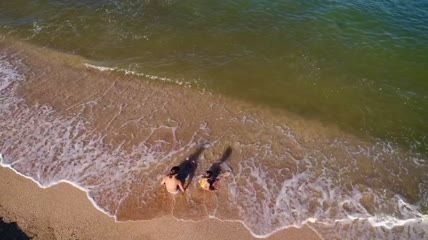 孩子们在海边玩耍顶级航拍