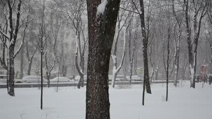 被大雪覆盖的城市公园实拍
