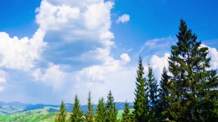 蓝天白云下的山林林地实拍