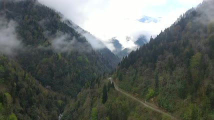 森林覆盖群山中的古老城堡航拍