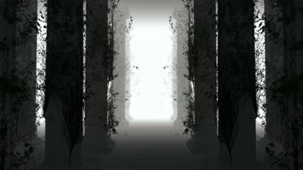 穿行在带有虚拟雾的森林3D循环